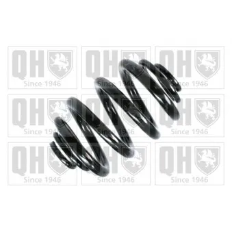 Ressort de suspension QUINTON HAZELL OEM 701511105M