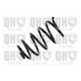 Ressort de suspension QUINTON HAZELL OEM 8N0411105H