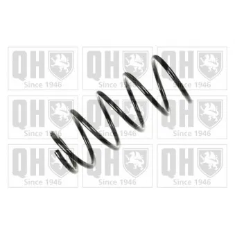 Ressort de suspension QUINTON HAZELL OEM 6N0411105R