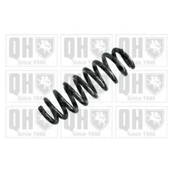 QUINTON HAZELL QCS5582 - Ressort de suspension