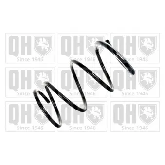 Ressort de suspension QUINTON HAZELL OEM 540108H760