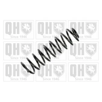 Ressort de suspension QUINTON HAZELL OEM 6N0511115A