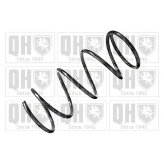 Ressort de suspension QUINTON HAZELL OEM 481311N370