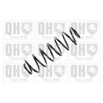 QUINTON HAZELL QCS6149 - Ressort de suspension