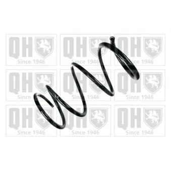Ressort de suspension QUINTON HAZELL OEM 540108H661