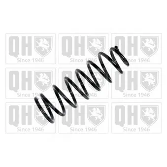 QUINTON HAZELL QCS6207 - Ressort de suspension