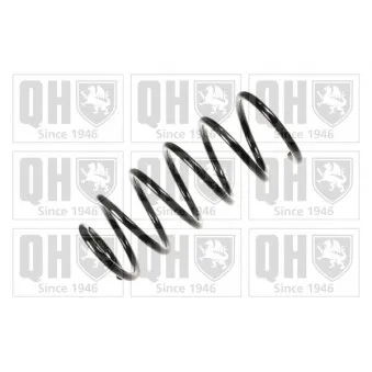 Ressort de suspension QUINTON HAZELL OEM 6K0411105R