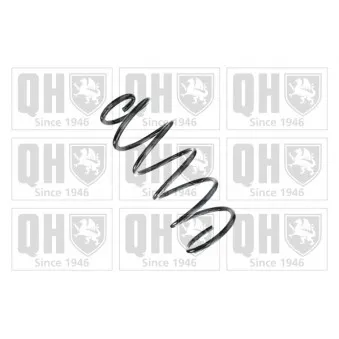 Ressort de suspension QUINTON HAZELL OEM 1J0411105S