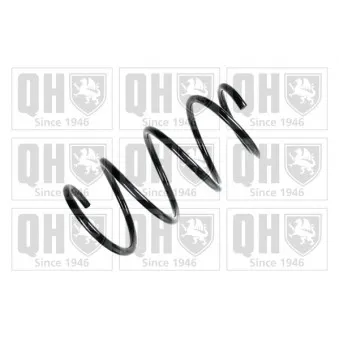 Ressort de suspension QUINTON HAZELL OEM 31336761325 Ressort de suspension QUINTON HAZELL OEM 31336761325