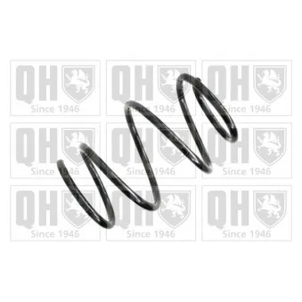 QUINTON HAZELL QCS6549 - Ressort de suspension