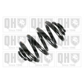 QUINTON HAZELL QCS6689 - Ressort de suspension