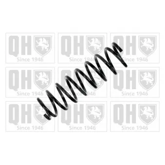 Ressort de suspension QUINTON HAZELL OEM 4111183E1000