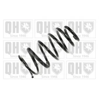 Ressort de suspension QUINTON HAZELL OEM 6025308615