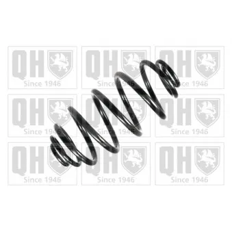 QUINTON HAZELL QCS6827 - Ressort de suspension