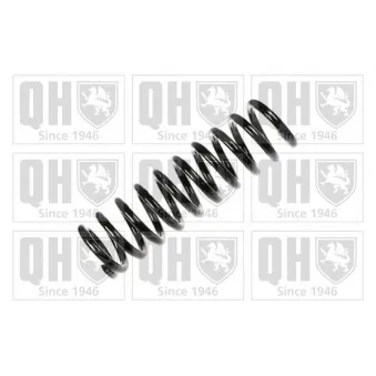 Ressort de suspension QUINTON HAZELL OEM 2023210104