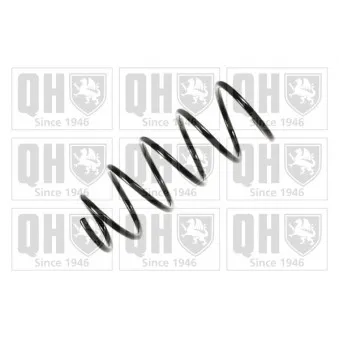 Ressort de suspension QUINTON HAZELL OEM 6N0411105N