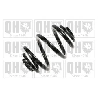 Ressort de suspension QUINTON HAZELL OEM 8200041470