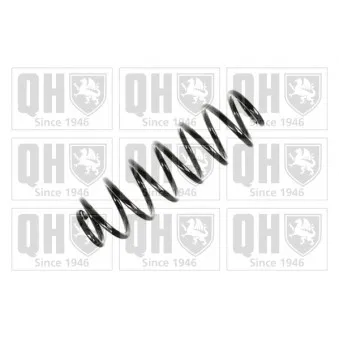 QUINTON HAZELL QCS6886 - Ressort de suspension