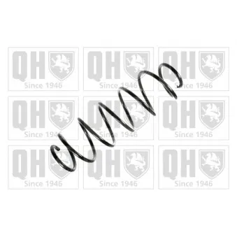 Ressort de suspension QUINTON HAZELL OEM 50700522