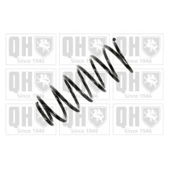 Ressort de suspension QUINTON HAZELL OEM 191411105K