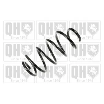Ressort de suspension QUINTON HAZELL OEM 1K0411105DG