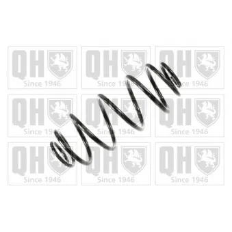 Ressort de suspension QUINTON HAZELL OEM 8200048206