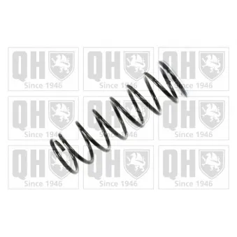 QUINTON HAZELL QCS7685 - Ressort de suspension
