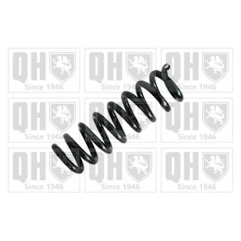 QUINTON HAZELL QCS7700 - Ressort de suspension