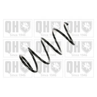 Ressort de suspension QUINTON HAZELL OEM 6025308377
