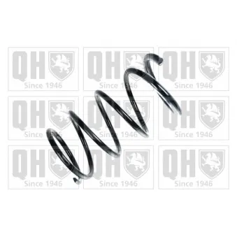 Ressort de suspension QUINTON HAZELL OEM 54010EQ02C