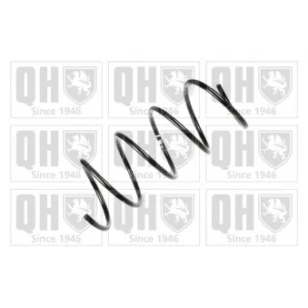 Ressort de suspension QUINTON HAZELL OEM 2033213904