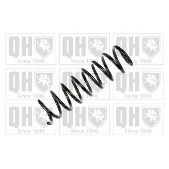 QUINTON HAZELL QCS8020 - Ressort de suspension
