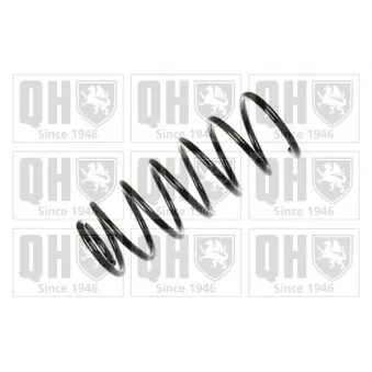 Ressort de suspension QUINTON HAZELL OEM 191411105p