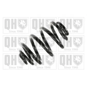 QUINTON HAZELL QCS8118 - Ressort de suspension