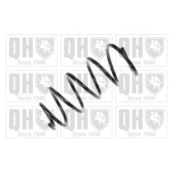 Ressort de suspension QUINTON HAZELL OEM 6N0411105P