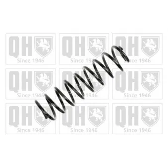 Ressort de suspension QUINTON HAZELL OEM 6K0511115M951