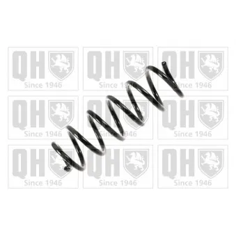 QUINTON HAZELL QCS8239 - Ressort de suspension