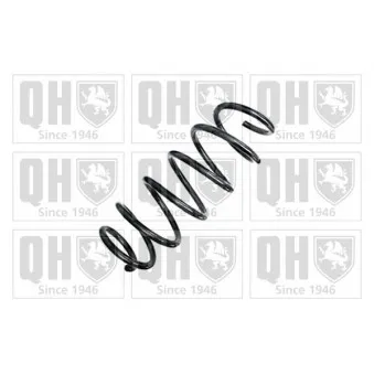 Ressort de suspension QUINTON HAZELL OEM 31255518