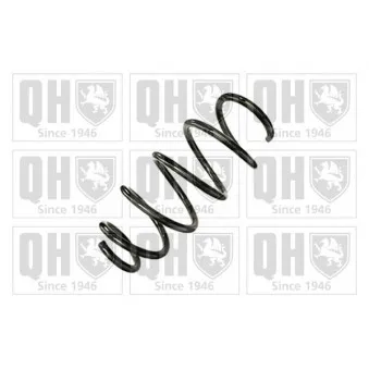 Ressort de suspension QUINTON HAZELL OEM 13265250