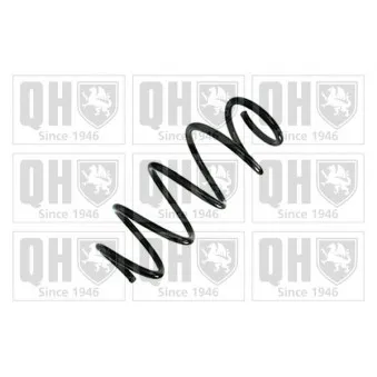 Ressort de suspension QUINTON HAZELL OEM 5N0411105AK