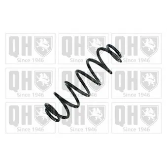 Ressort de suspension QUINTON HAZELL OEM 5N0511115A