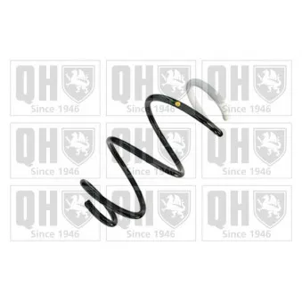 Ressort de suspension QUINTON HAZELL OEM 540105074R