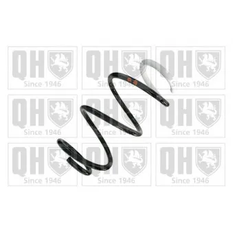 Ressort de suspension QUINTON HAZELL OEM 540107005R
