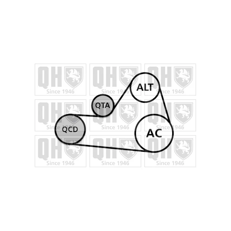 Jeu de courroies trapézoïdales à nervures QUINTON HAZELL QDK104 - Visuel 1