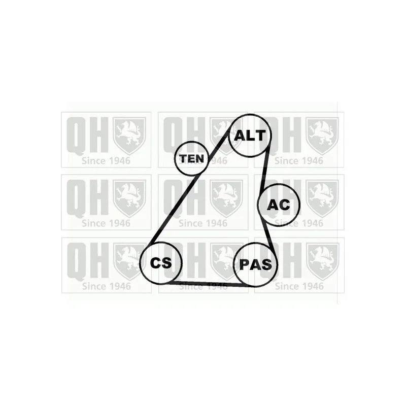 Jeu de courroies trapézoïdales à nervures QUINTON HAZELL QDK36 - Visuel 1