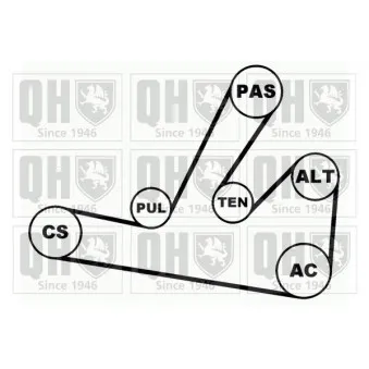 Jeu de courroies trapézoïdales à nervures QUINTON HAZELL QDK59
