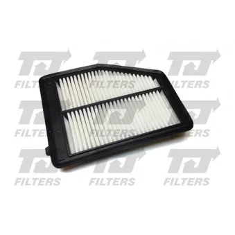 Filtre à air QUINTON HAZELL OEM 17220R1AA01