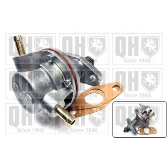 QUINTON HAZELL QFP517 - Pompe à carburant