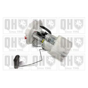 Unité d'injection de carburant QUINTON HAZELL QFP731 pour RENAULT CLIO 1.2 LPG - 60cv