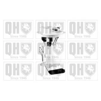 Unité d'injection de carburant QUINTON HAZELL OEM 6025304882